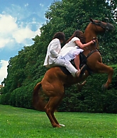 Filename=Arthur-227.jpg
Filesize=263KiB
Dimensions=1920x1080
Date added=Jan 06, 2023 Arthur-227.jpg