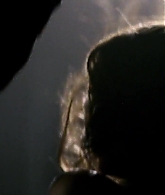 Elektra-0002.jpg