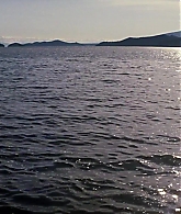 Elektra-0449.jpg