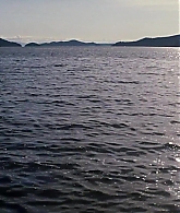 Elektra-0450.jpg