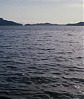 Elektra-0451.jpg