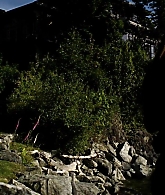 Elektra-0469.jpg