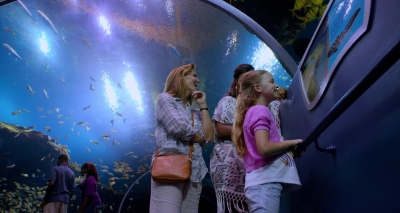 Miracles-From-Heaven-0935.jpg