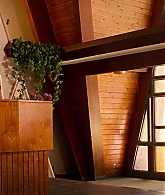 Miracles-From-Heaven-1773.jpg