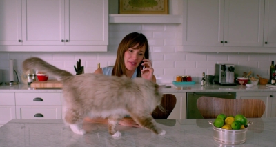 Nine-Lives-522.jpg
