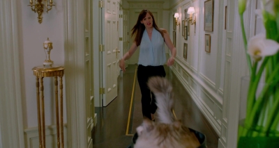 Nine-Lives-526.jpg