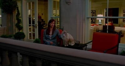 Nine-Lives-698.jpg