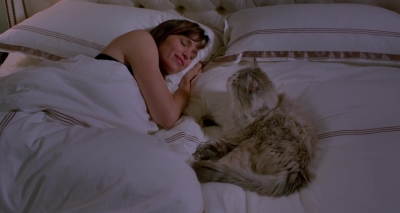 Nine-Lives-797.jpg