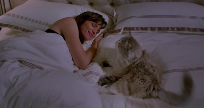 Nine-Lives-798.jpg