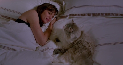 Nine-Lives-802.jpg