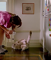 Filename=Nine-Lives-278.jpg
Filesize=158KiB
Dimensions=1920x1024
Date added=Jan 05, 2023 Nine-Lives-278.jpg