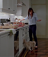 Nine-Lives-345.jpg