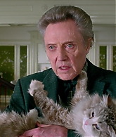 Nine-Lives-496.jpg