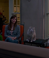 Filename=Nine-Lives-704.jpg
Filesize=105KiB
Dimensions=1920x1024
Date added=Jan 05, 2023 Nine-Lives-704.jpg