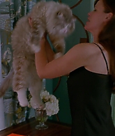 Nine-Lives-748.jpg