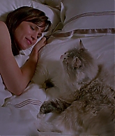 Nine-Lives-802.jpg