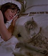 Nine-Lives-803.jpg
