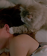 Nine-Lives-811.jpg