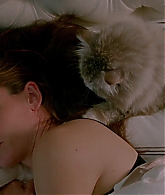 Nine-Lives-814.jpg