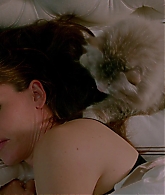 Nine-Lives-815.jpg