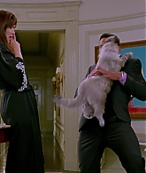 Nine-Lives-847.jpg