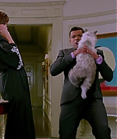 Nine-Lives-848.jpg