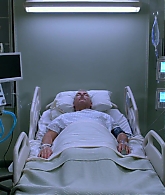 Nine-Lives-905.jpg