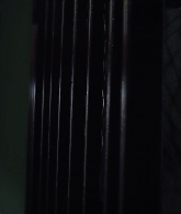 Peppermint-0875.jpg