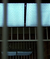 02-Trust-Me-377.jpg
