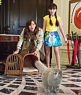 Filename=Nine-Lives-Stills-004.jpg
Filesize=1117KiB
Dimensions=3000x2000
Date added=Jul 16, 2023 Nine-Lives-Stills-004.jpg
